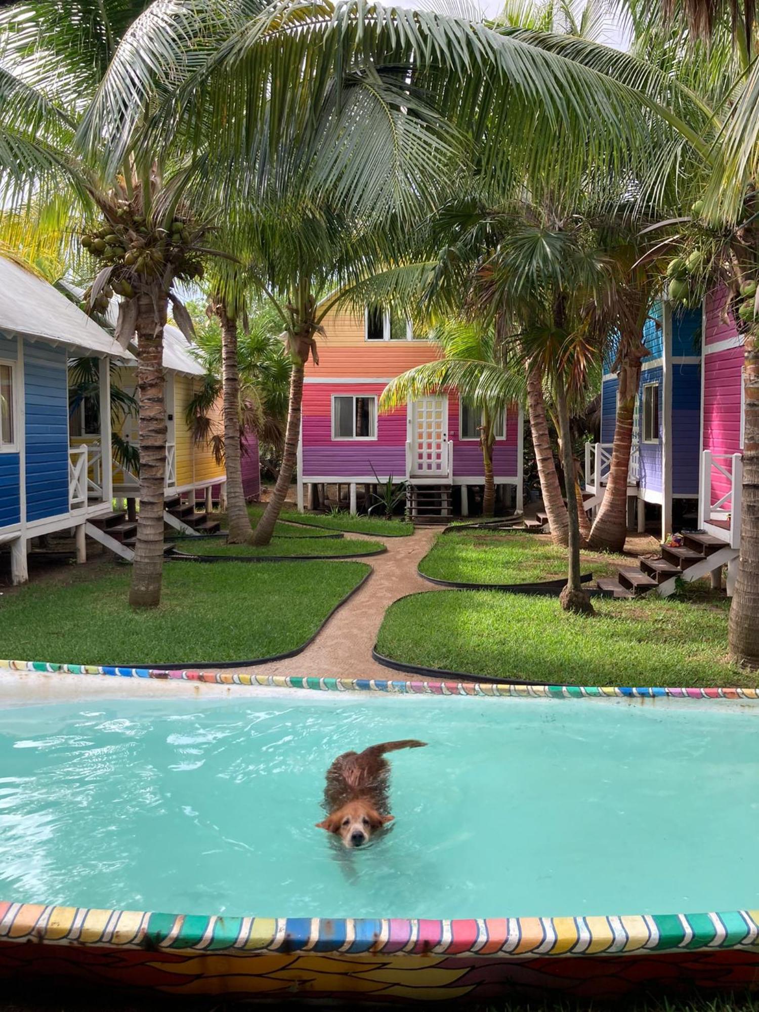 Bed and Breakfast Whyknot Holbox Exterior foto